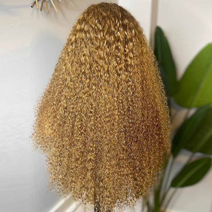Honey Blonde Color 180% Density Wig Deep Wave Hair 13x4/13x6 HD Lace Front Human Hair Wigs With Baby Hair