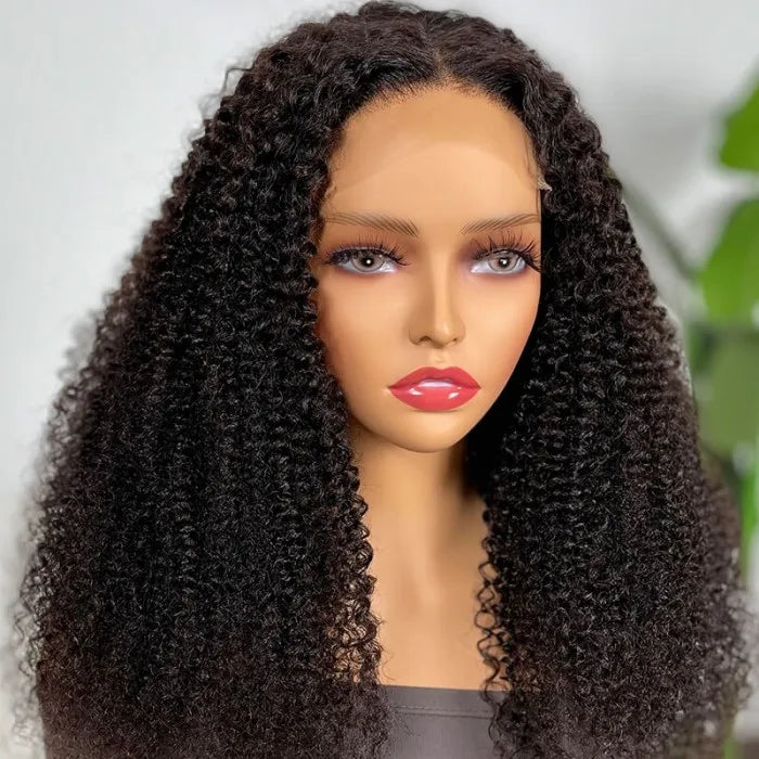 Natural Black Curly Wig HD Lace Front Wigs 180% Density 100% Human Hair